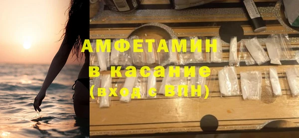 прущие грибы Абаза