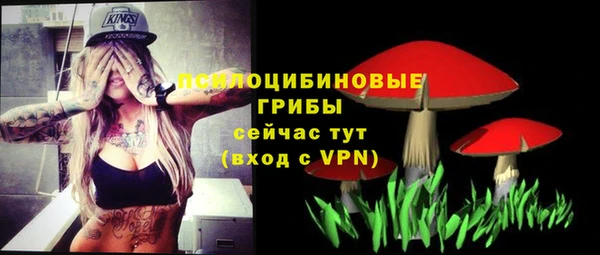прущие грибы Абаза