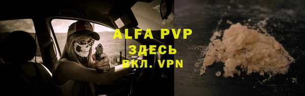 прущие грибы Абаза