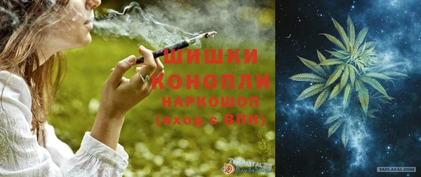 прущие грибы Абаза