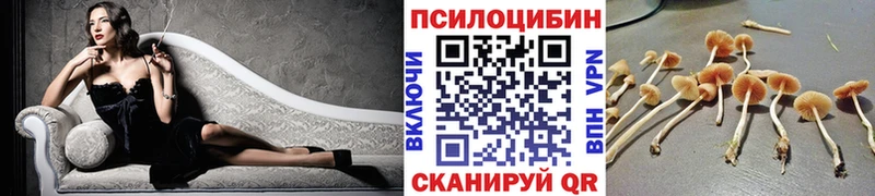 Псилоцибиновые грибы Cubensis  Усть-Кут 