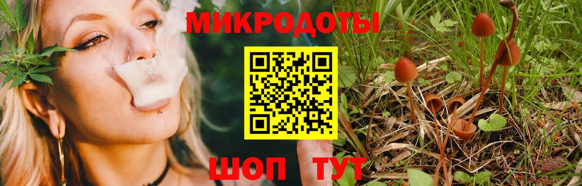 Псилоцибиновые грибы Psilocybe  Вход с VPN  Усть-Кут 